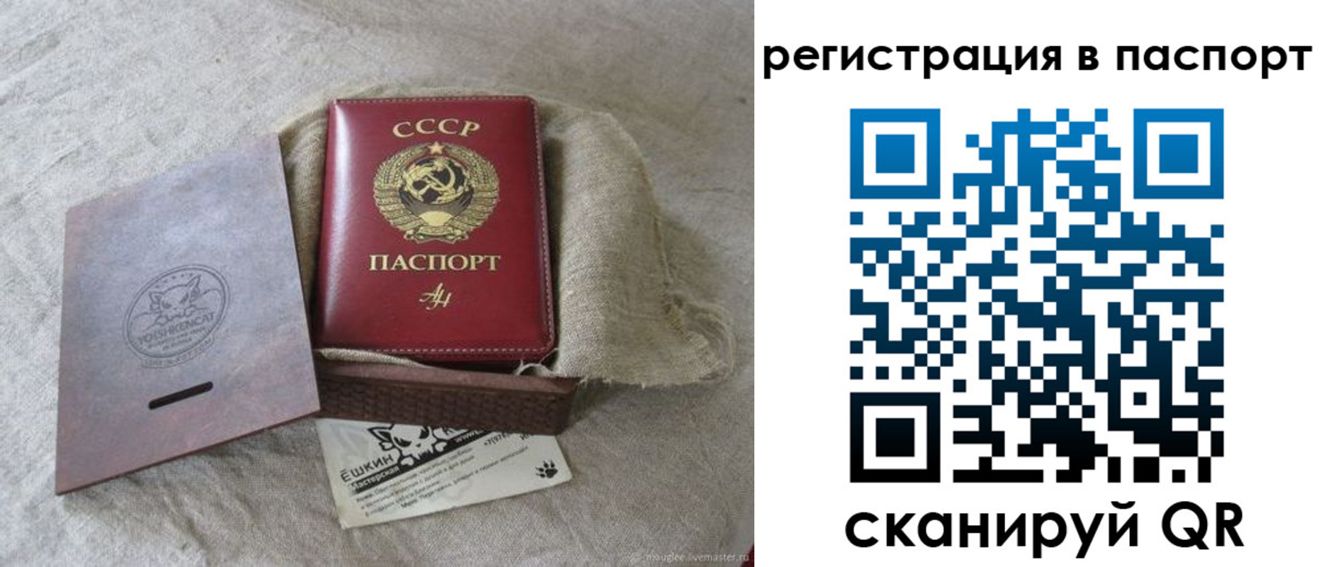 где прописаться в Грязовце